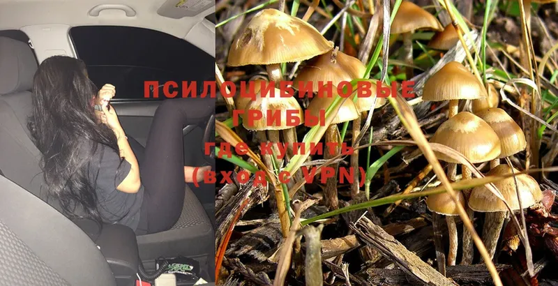 Галлюциногенные грибы MAGIC MUSHROOMS  mega tor  Воткинск 